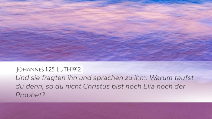 Johannes 1:25 LUTH1912 Desktop Wallpaper - Und sie fragten ihn und sprachen zu ihm: Warum - Desktop Bible Verse Wallpaper