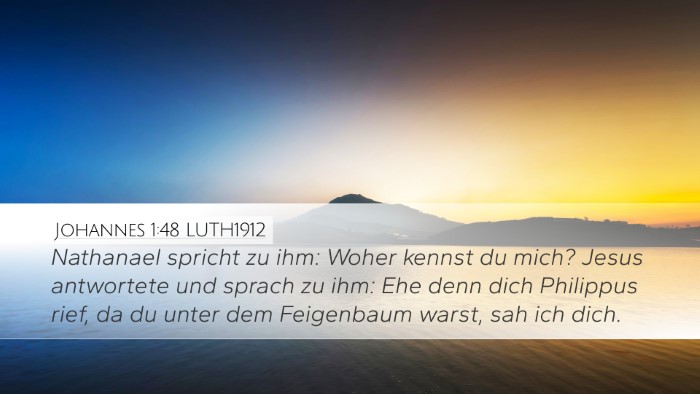 Johannes 1:48 LUTH1912 Desktop Wallpaper - Nathanael spricht zu ihm: Woher kennst du mich? - Desktop Bible Verse Wallpaper