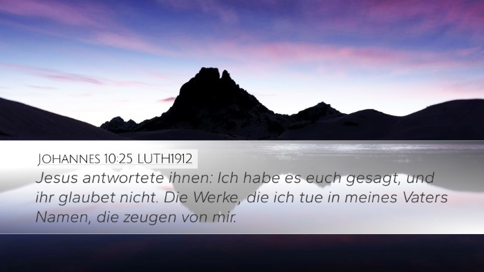 Johannes 10:25 LUTH1912 Bible Verse Image