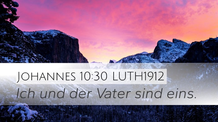 Johannes 10:30 LUTH1912 Bible Verse Image