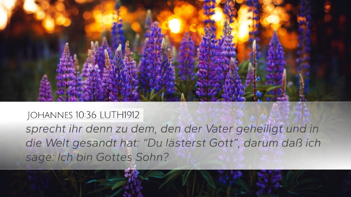 Johannes 10:36 LUTH1912 Bible Verse Image