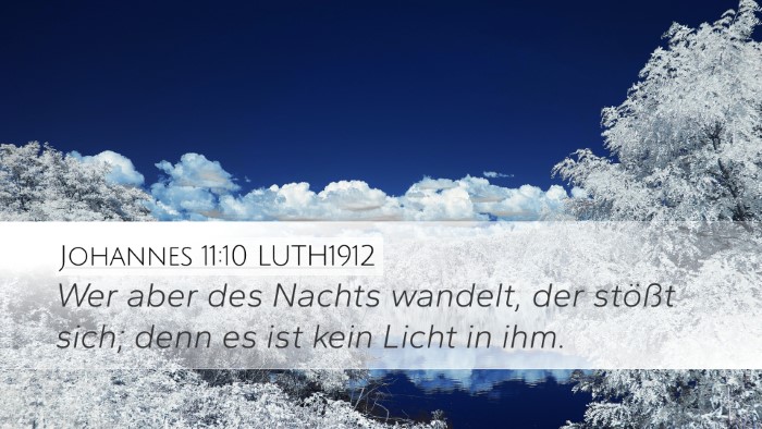 Johannes 11:10 LUTH1912 Desktop Wallpaper - Wer aber des Nachts wandelt, der stößt sich; - Desktop Bible Verse Wallpaper
