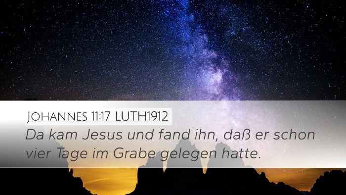 Johannes 11:17 LUTH1912 Bible Verse Image