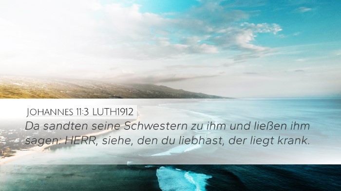 Johannes 11:3 LUTH1912 Bible Verse Image