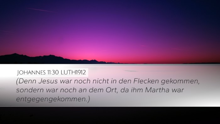 Johannes 11:30 LUTH1912 Desktop Wallpaper - (Denn Jesus war noch nicht in den Flecken - Desktop Bible Verse Wallpaper