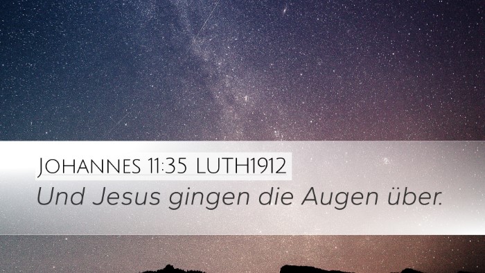 Johannes 11:35 LUTH1912 Bible Verse Image