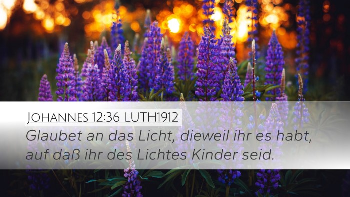 Johannes 12:36 LUTH1912 Bible Verse Image