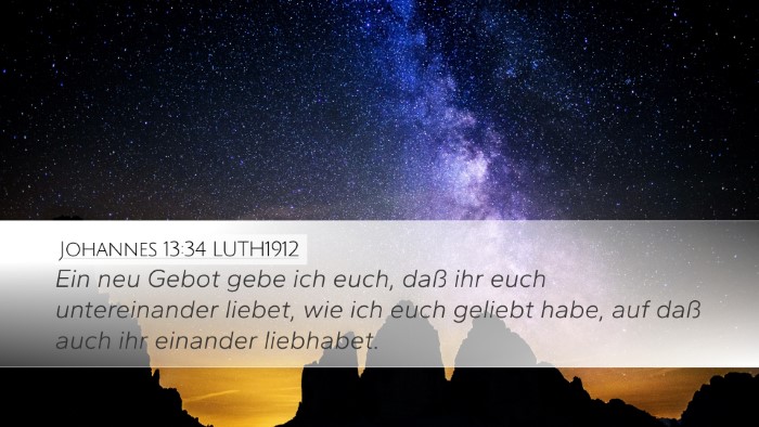 Johannes 13:34 LUTH1912 Bible Verse Image