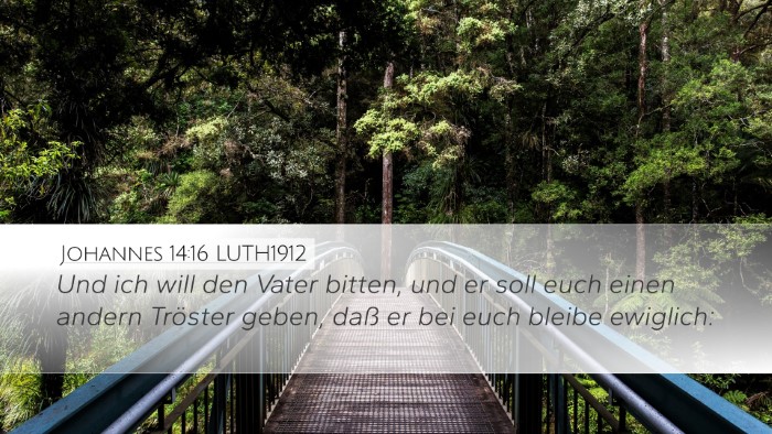 Johannes 14:16 LUTH1912 Bible Verse Image