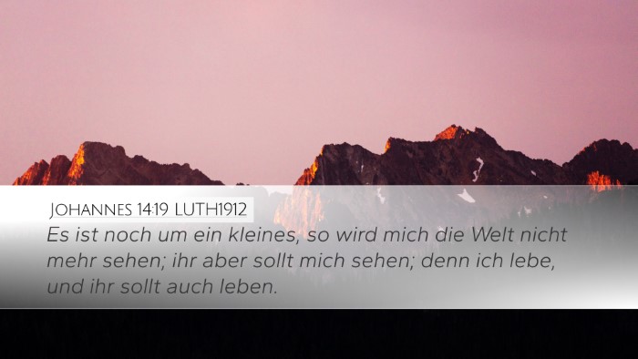 Johannes 14:19 LUTH1912 Bible Verse Image