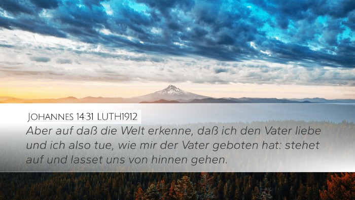 Johannes 14:31 LUTH1912 Bible Verse Image