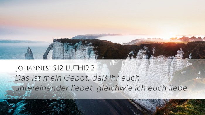 Johannes 15:12 LUTH1912 Bible Verse Image