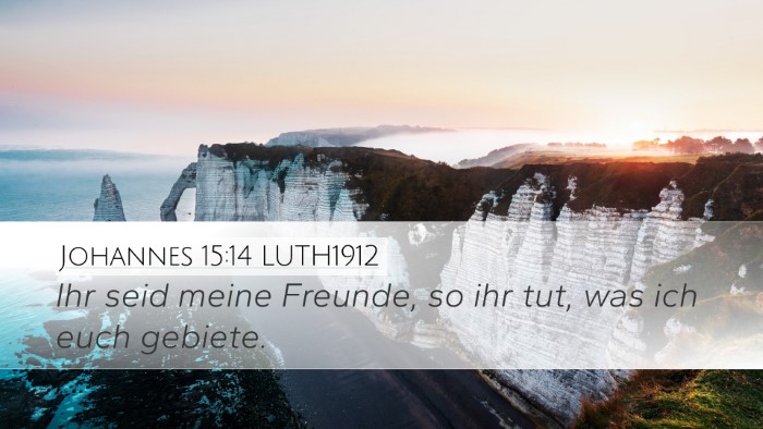Johannes 15:14 LUTH1912 Bible Verse Image
