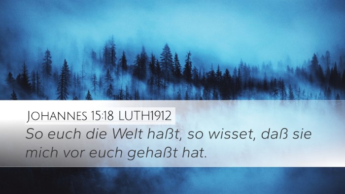 Johannes 15:18 LUTH1912 Bible Verse Image