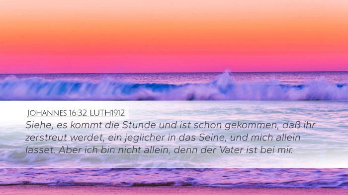 Johannes 16:32 LUTH1912 Bible Verse Image