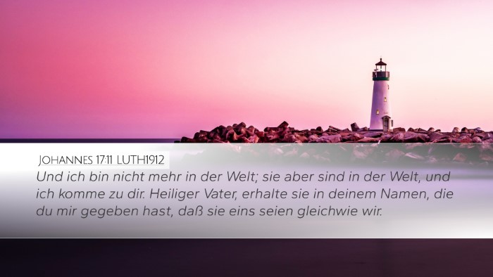 Johannes 17:11 LUTH1912 Bible Verse Image