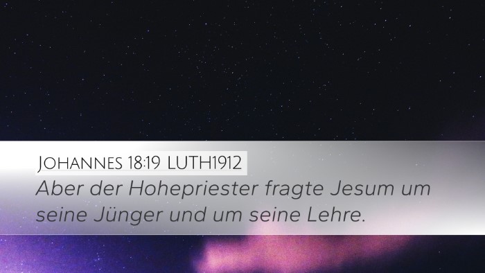 Johannes 18:19 LUTH1912 Bible Verse Image