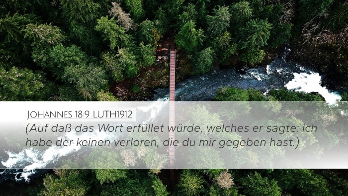 Johannes 18:9 LUTH1912 Bible Verse Image