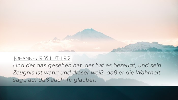 Johannes 19:35 LUTH1912 Bible Verse Image