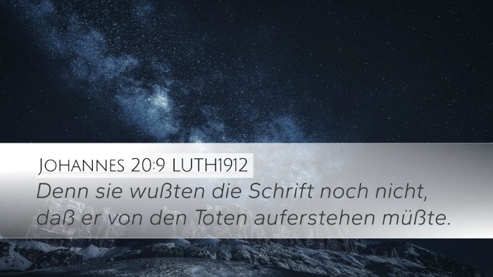 Johannes 20:9 LUTH1912 Bible Verse Image