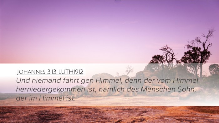 Johannes 3:13 LUTH1912 Bible Verse Image