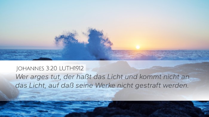 Johannes 3:20 LUTH1912 Bible Verse Image