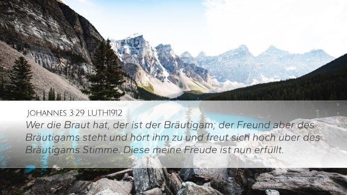Johannes 3:29 LUTH1912 Bible Verse Image