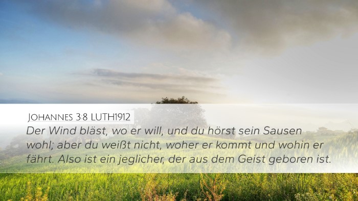 Johannes 3:8 LUTH1912 Bible Verse Image