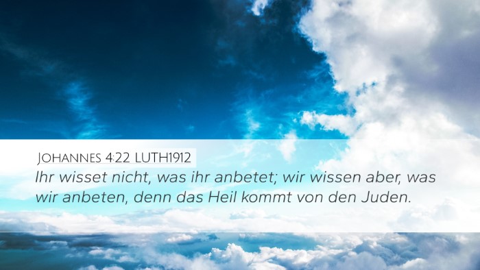 Johannes 4:22 LUTH1912 Bible Verse Image