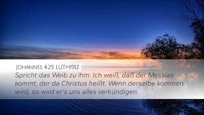 Johannes 4:25 LUTH1912 Bible Verse Image
