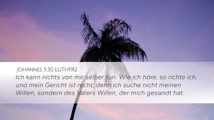 Johannes 5:30 LUTH1912 Bible Verse Image