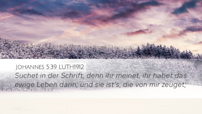 Johannes 5:39 LUTH1912 Bible Verse Image