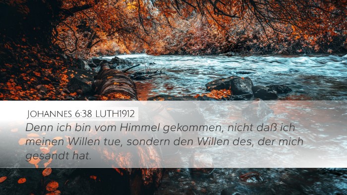 Johannes 6:38 LUTH1912 Bible Verse Image