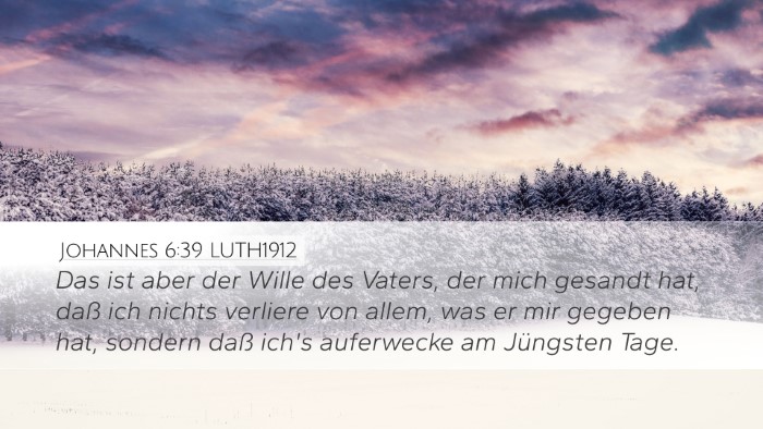 Johannes 6:39 LUTH1912 Bible Verse Image