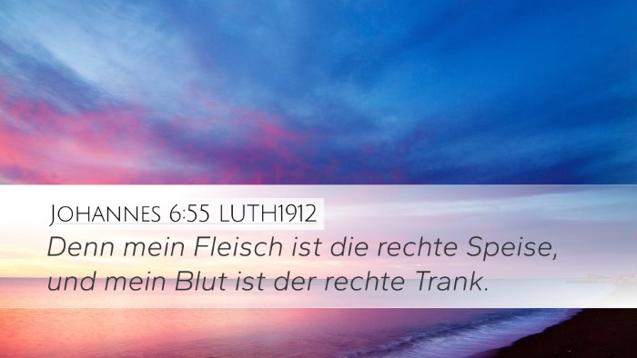 Johannes 6:55 LUTH1912 Bible Verse Image