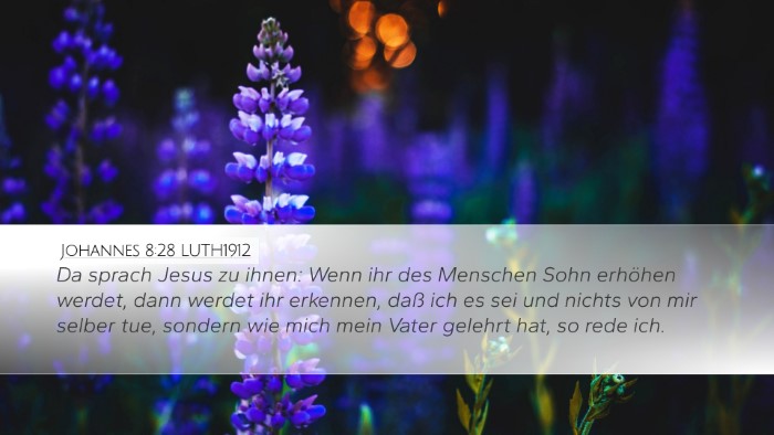 Johannes 8:28 LUTH1912 Bible Verse Image