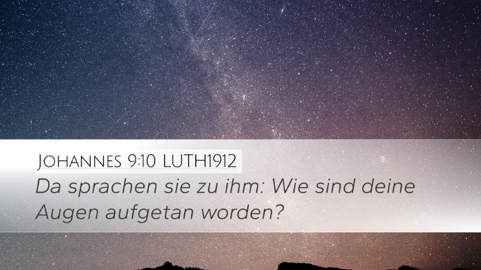 Johannes 9:10 LUTH1912 Bible Verse Image