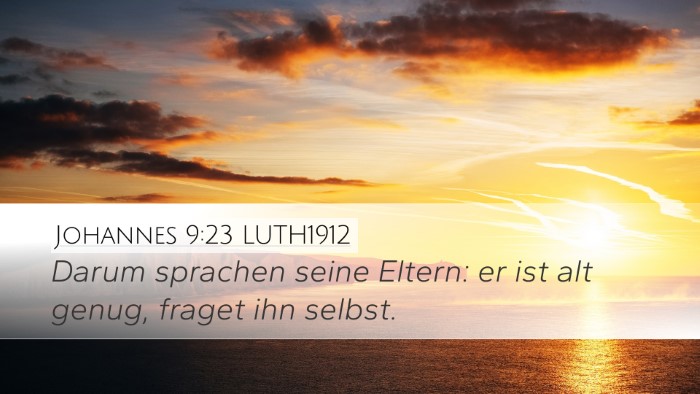 Johannes 9:23 LUTH1912 Desktop Wallpaper - Darum sprachen seine Eltern: er ist alt genug, - Desktop Bible Verse Wallpaper