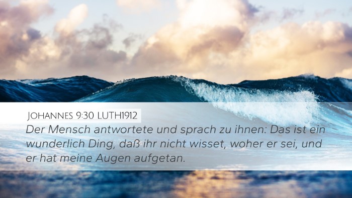 Johannes 9:30 LUTH1912 Bible Verse Image
