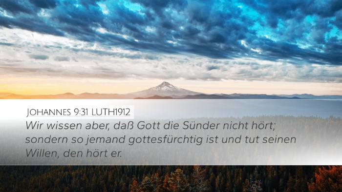 Johannes 9:31 LUTH1912 Bible Verse Image