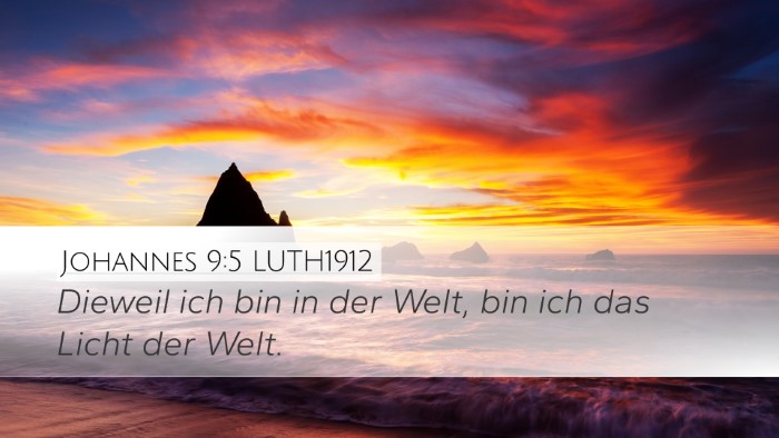 Johannes 9:5 LUTH1912 Bible Verse Image