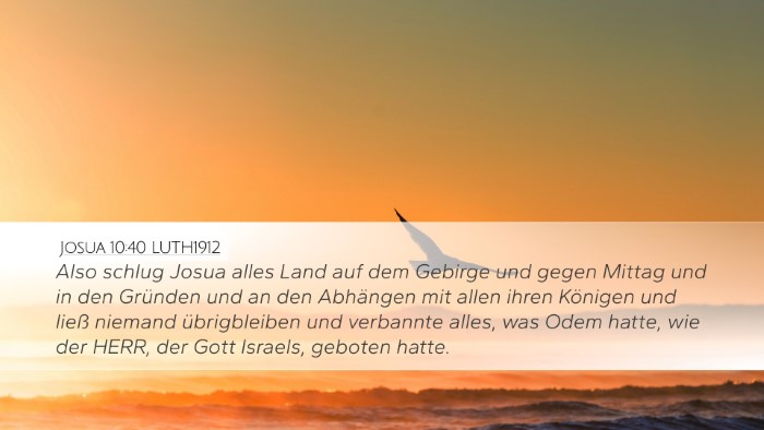 Josua 10:40 LUTH1912 Bible Verse Image
