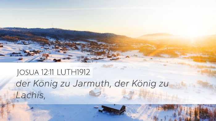 Josua 12:11 LUTH1912 Bible Verse Image