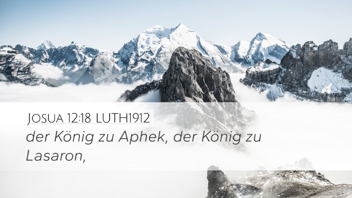Josua 12:18 LUTH1912 Bible Verse Image