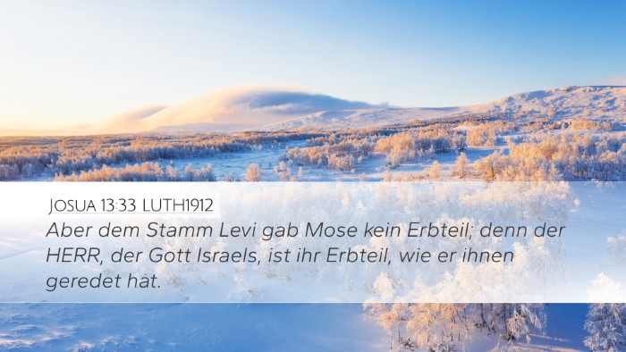 Josua 13:33 LUTH1912 Bible Verse Image