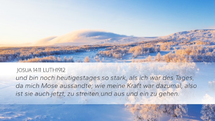 Josua 14:11 LUTH1912 Desktop Wallpaper - und bin noch heutigestages so stark, als ich war - Desktop Bible Verse Wallpaper