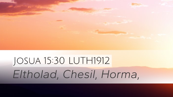 Josua 15:30 LUTH1912 Bible Verse Image
