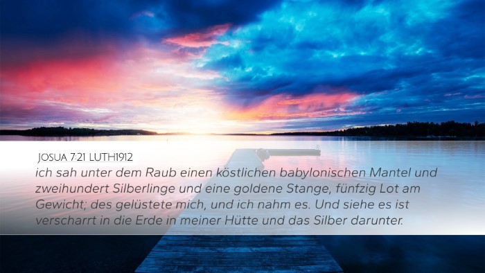 Josua 7:21 LUTH1912 Bible Verse Image