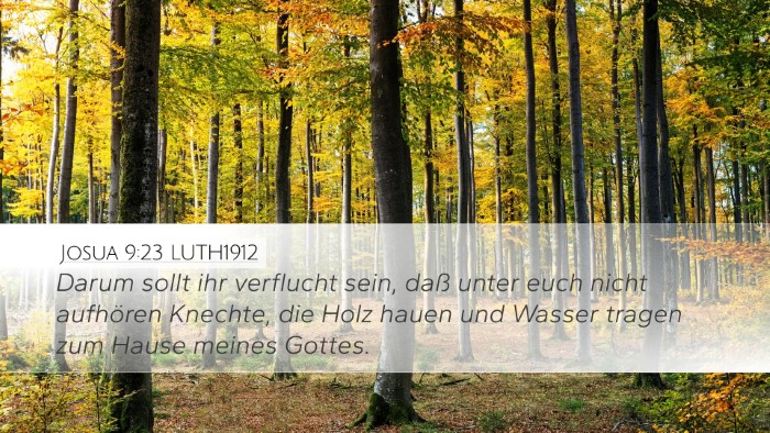 Josua 9:23 LUTH1912 Bible Verse Image