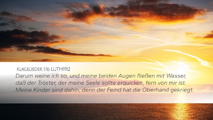 Klagelieder 1:16 LUTH1912 Bible Verse Image